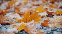 Droht uns im November ein Wintereinbruch?