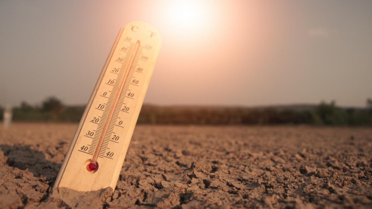 Metereologen sagen f&uuml;r Anfang September Hitze-Temperaturen von bis zu 35 Grad voraus. (Foto)