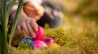 Die traditionell bunt eingefärbten Eier stammen oftmals aus fragwürdigen Haltungsformen.
