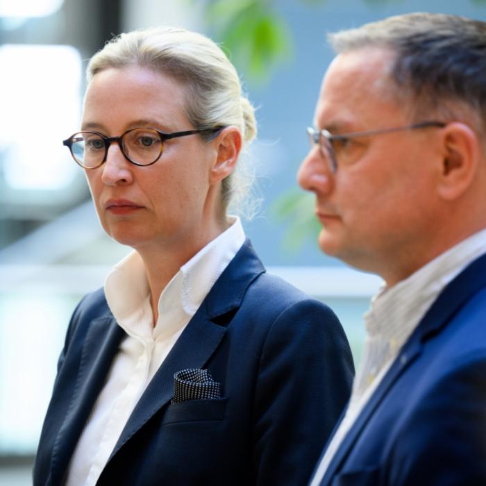 AfD in Umfrage mit 25 Prozent vorn!