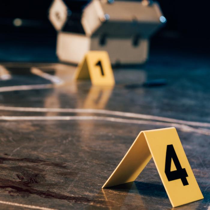 Mädchen-Gang (12, 13) prügelt Behinderten (64) zu Tode