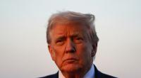 Donald Trump: Magnetbahn geplatzt - während China mit 600 km/h davonzieht.