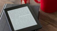 E-Books illegal herunterzuladen, kann teuer werden.