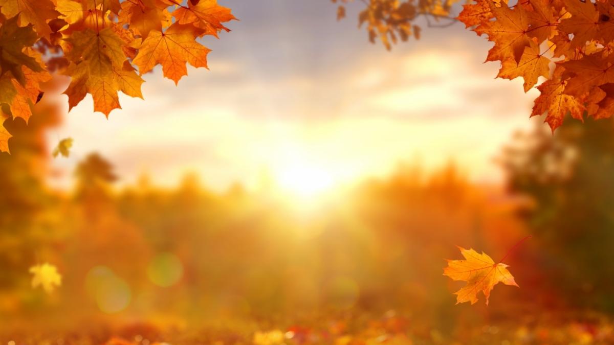 Sahara-Luft str&ouml;mt nach Deutschland und knallt den Herbst weg. (Foto)