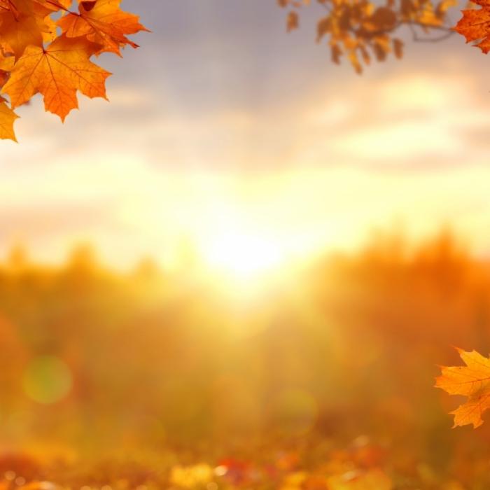Bis zu 27 Grad! Saharaluft kracht in dieser Woche den Herbst weg