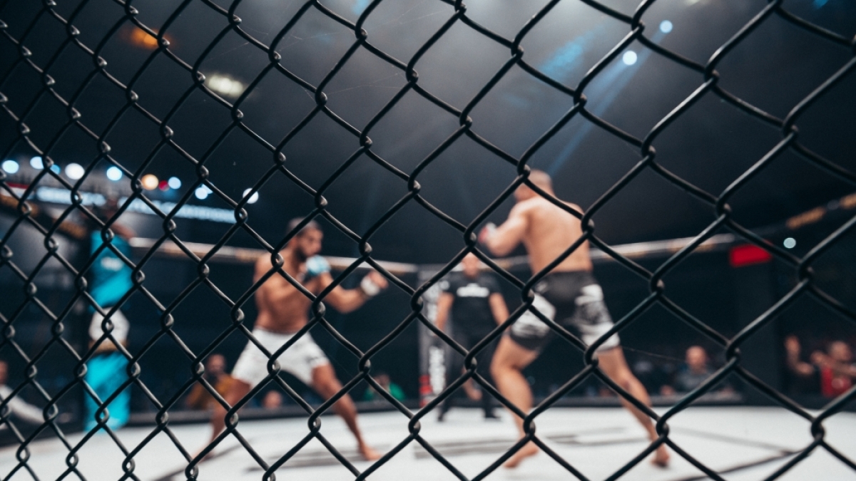 Wer verl&auml;sst UFC 300 mit dem Titel im Halbschwergewicht: Alex Pereira oder Jamahal Hill? (Foto)