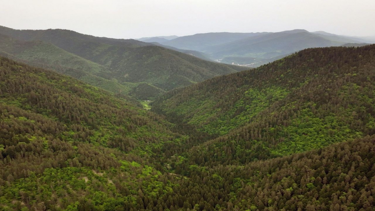 Georgiens Nationalparks bei Arte (Foto)