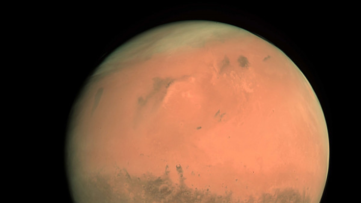 Boriska Kipriyanovich behauptet vom Mars zu stammen. (Foto)