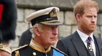 König Charles III. steckt wegen Prinz Harry in der Bredouille.