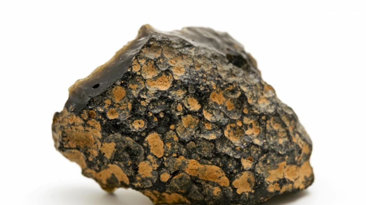 Ein in Algerien gefundener Meteorit k&ouml;nnte von einem Protoplaneten stammen. (Foto)