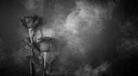 Trauer in der Musikwelt: DDR-Rocklegende Manfred Kähler von 