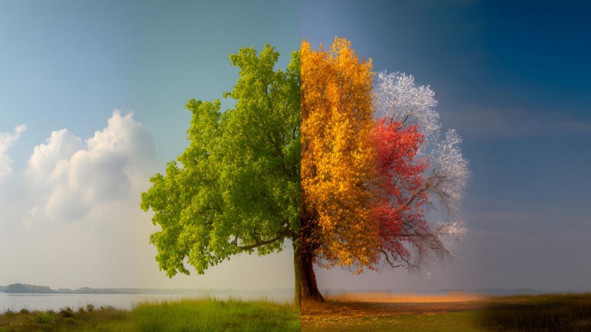 Verr&auml;t der Hundertj&auml;hrige Kalender wirklich, wie das Wetter im n&auml;chsten Jahr wird? (Foto)