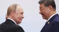 Wladimir Putin (links) sorgt mit einer besonders Handgeste für Wirbel.