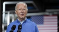 Michelle Obama könnte Joe Biden ersetzen.