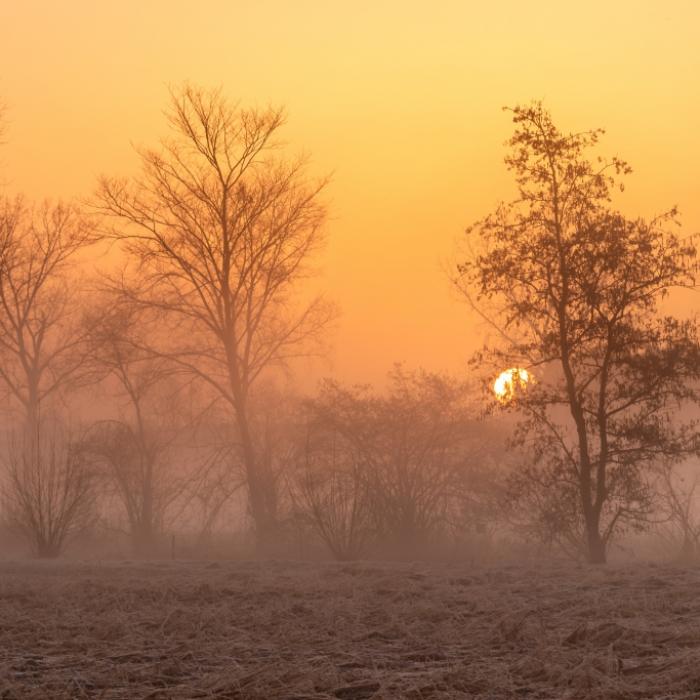 Warmluftdüse bläst 