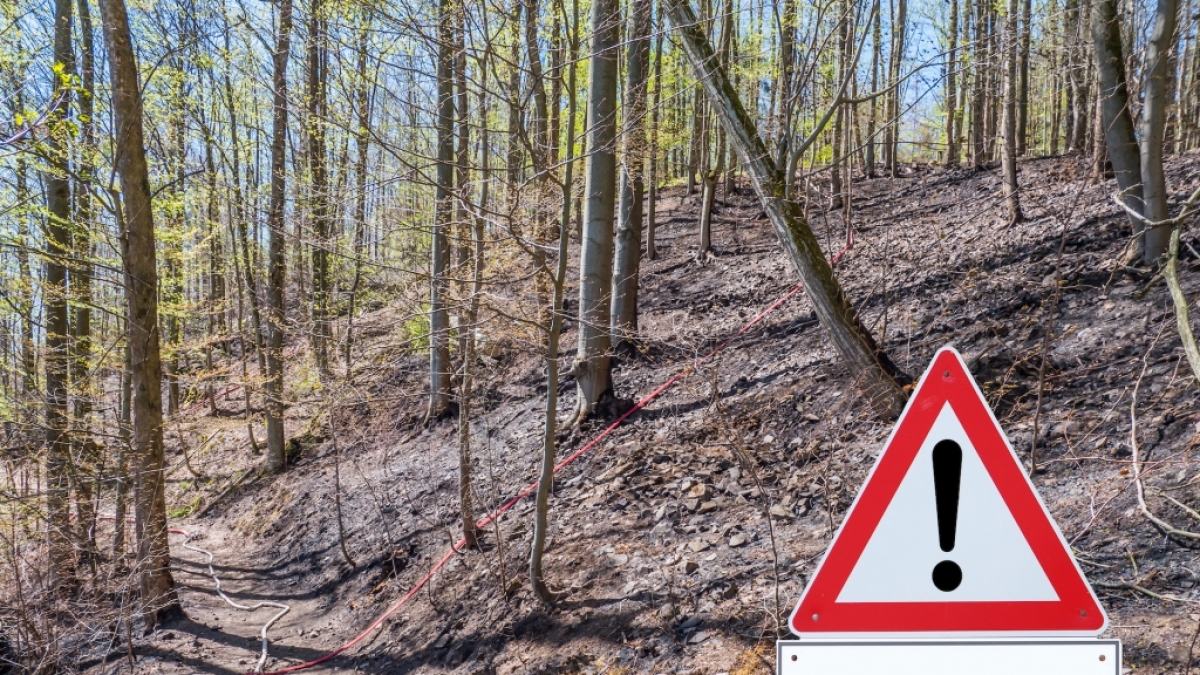 Die Waldbrandgefahr ist aktuell in vielen Teilen Deutschlands erh&ouml;ht. (Foto)