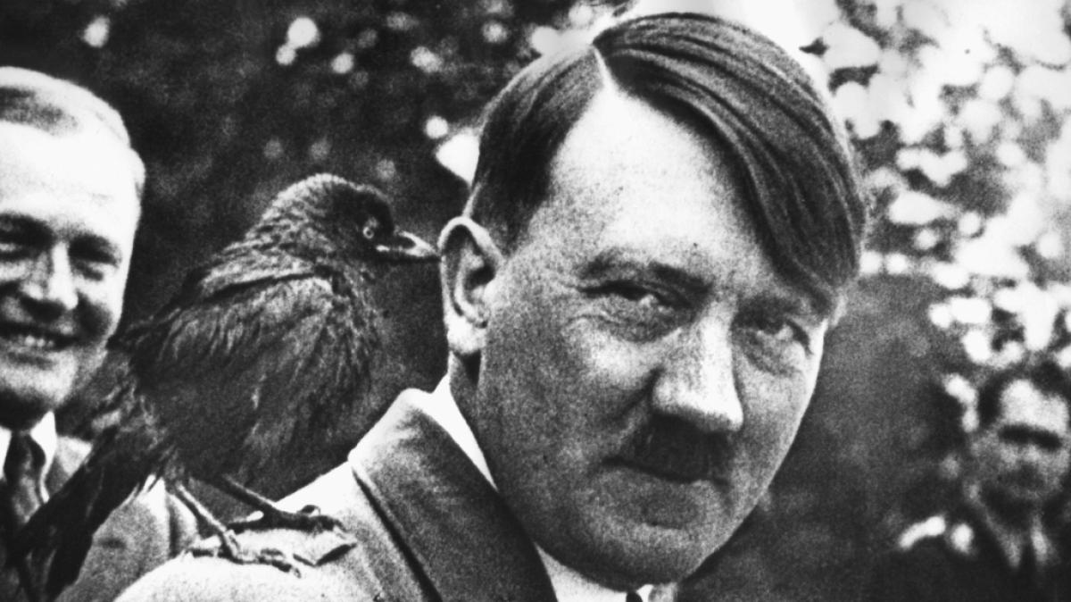 Ein "F&uuml;hrer-Quarttet" mit Adolf-Hitler-Karten ist aus Schlo&szlig; Voigtsberg entwendet worden. (Foto)