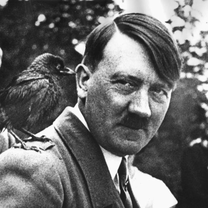 Hitler verschwunden! Wer hat den 