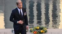Einst flogen Prinz Harry als lebensfrohem Party-Royal alle Herzen zu - nun ist der Königssohn der Einschätzung eines Adels-Experten zufolge 