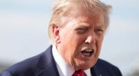 Donald Trumps Wahlkampfplan vor den Midterms könnte die US-Republikaner in den Abgrund reißen, wie ein Parteikollege des Präsidenten warnt.