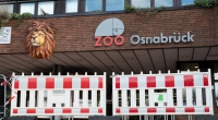 Im Zoo Osnabrück ist eine Tierpflegerin von einem Löwen angegriffen worden.