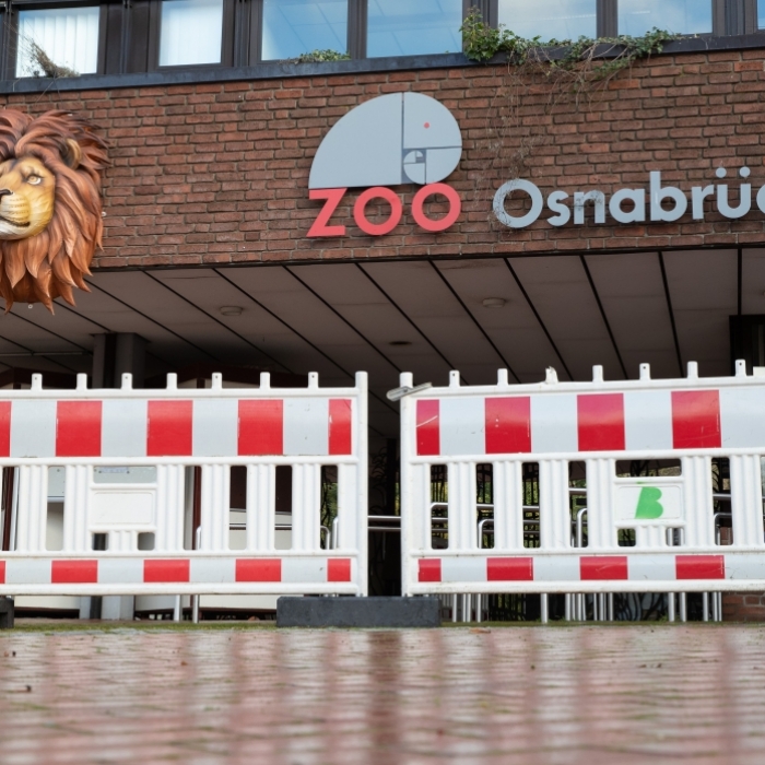 Löwe greift Tierpflegerin an - Opfer (25) im Krankenhaus