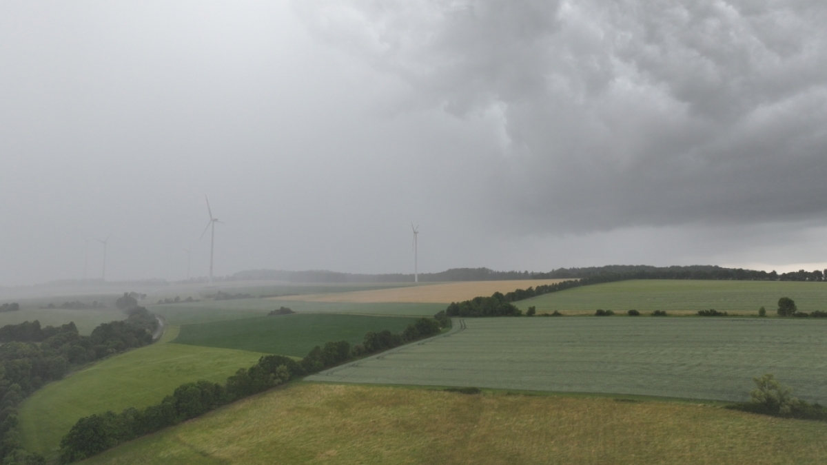 Der DWD hat eine Warnung vor Nebel herausgegeben (Symbolbild). (Foto)