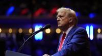 Donald Trump sprach am Sonntag bei einer Wahlkampfveranstaltung im Madison Square Garden (New York City). Seine Nichte Mary kritisiert den Republikaner scharf.