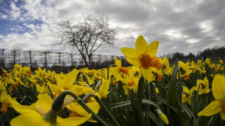 Das Wetter zu Ostern 2020 dürfte weniger sonnig ausfallen als zu Beginn April.