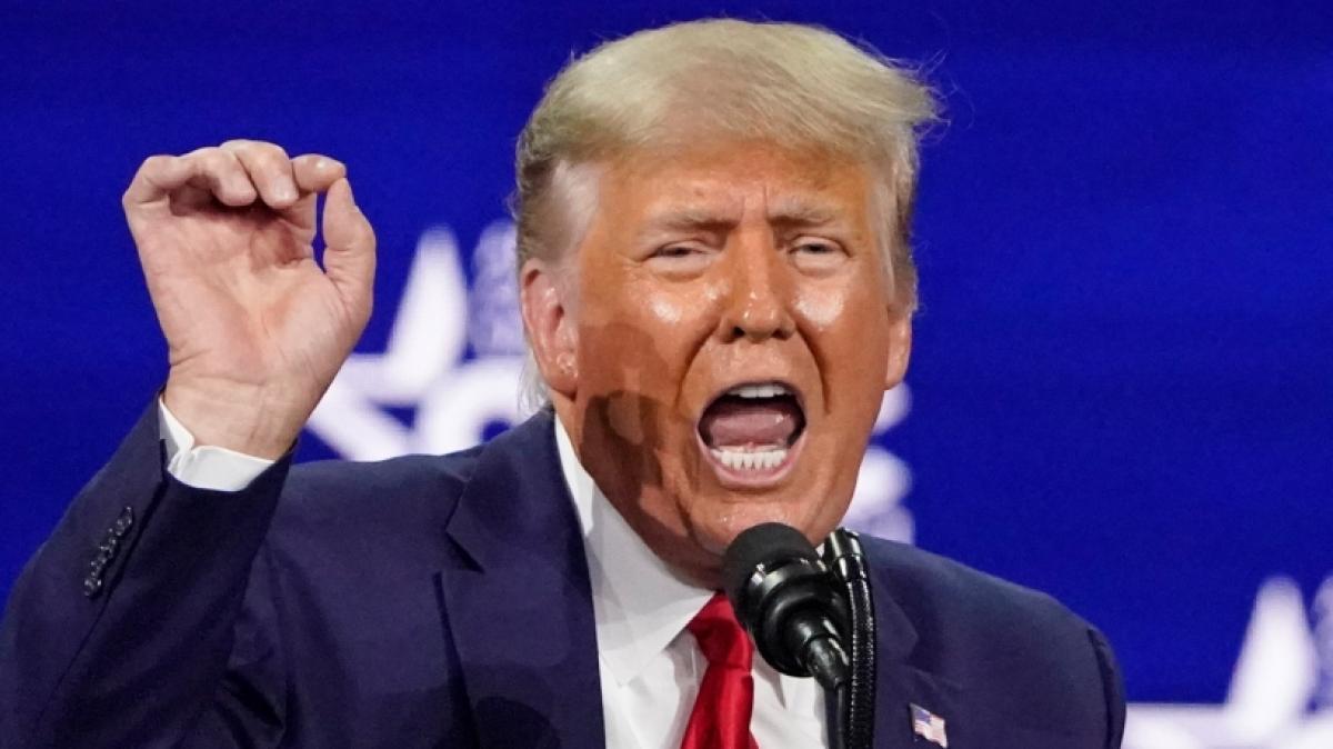 Donald Trump sorgte auch in dieser Woche f&uuml;r reichlich Schocker. (Foto)