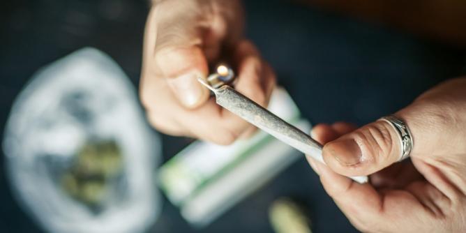 Bilanz der Cannabispolitik