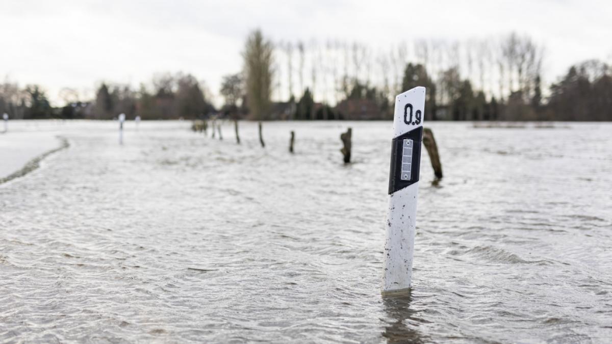 Neuer Regen zum Jahreswechsel k&ouml;nnte die Hochwasserlage weiter versch&auml;rfen. (Foto)