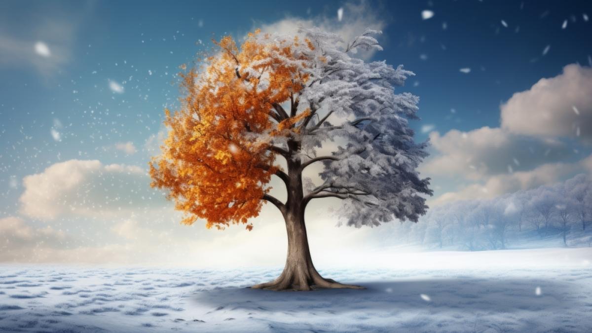 Sagt der Lorenzi-Tag das Wetter im Winter voraus? (Foto)