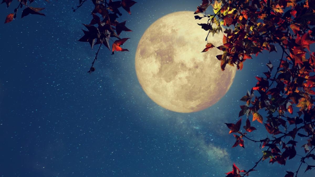 Prophezeit der Herbstmond st&uuml;rmisches Wetter? (Foto)