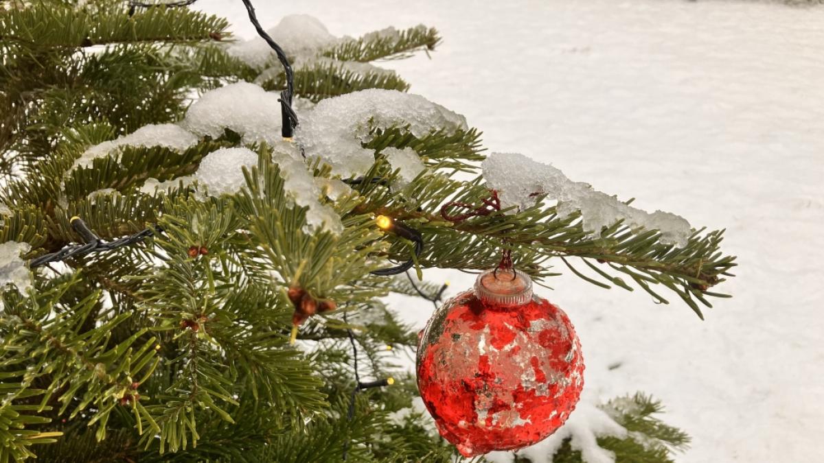 D&uuml;rfen wir uns auf wei&szlig;e Weihnachten freuen? (Foto)