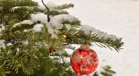 Dürfen wir uns auf weiße Weihnachten freuen?