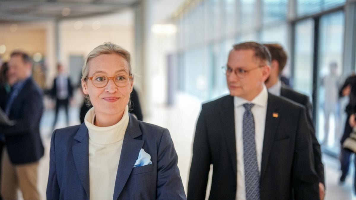 Die AfD will ihren Ton in Zukunft m&auml;&szlig;igen. (Foto)