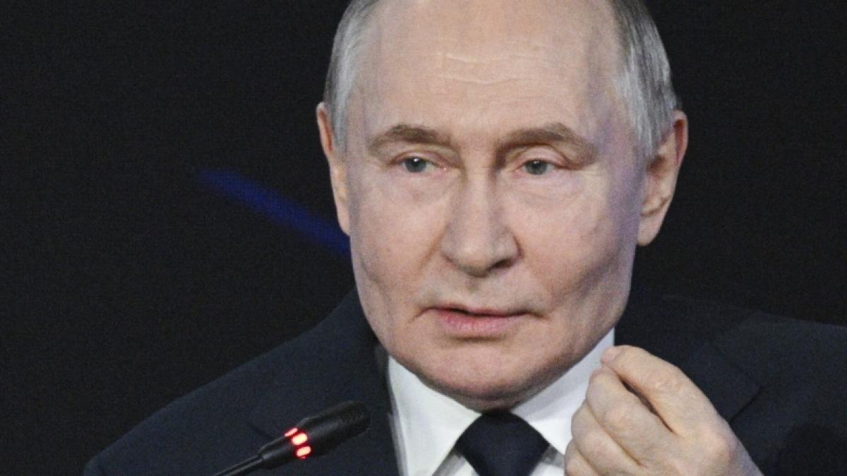 Wladimir Putins K&ouml;rpergr&ouml;&szlig;e wurde pl&ouml;tzlich zum Thema. (Foto)