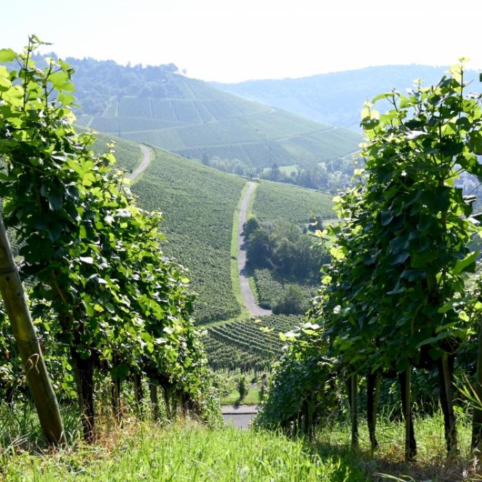 Baden-Württemberg