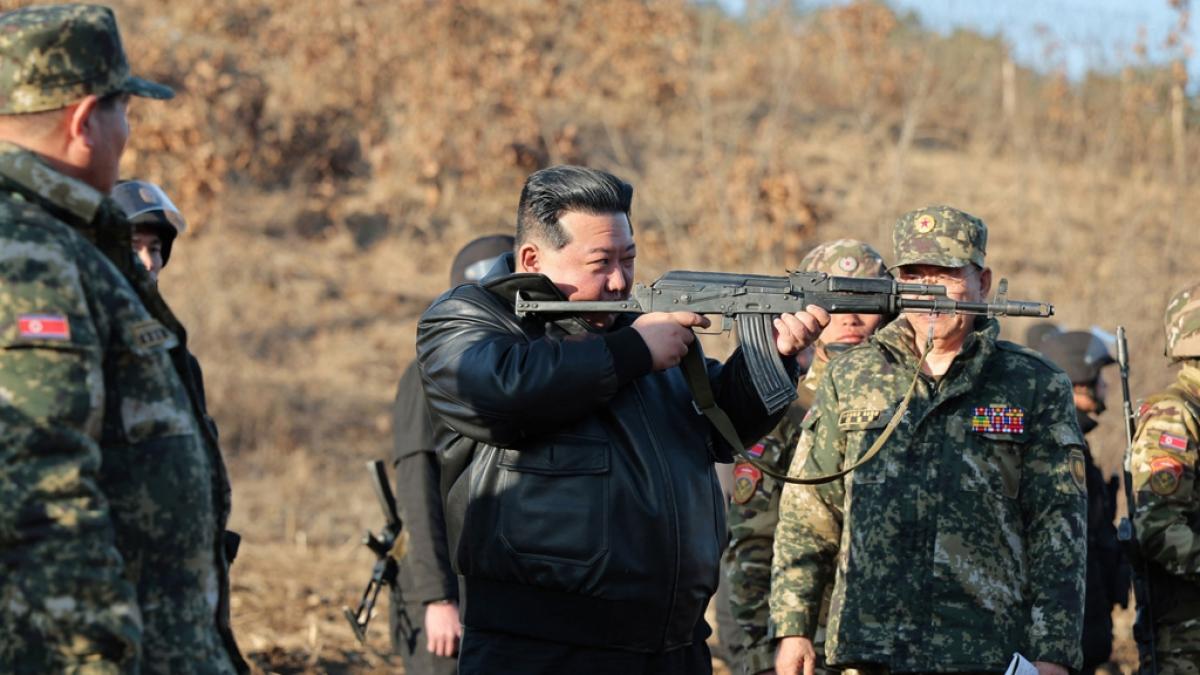 Angeblich soll Nordkorea nun Hunde als Haustiere verboten haben. (Foto)