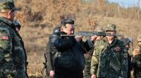Angeblich soll Nordkorea nun Hunde als Haustiere verboten haben.