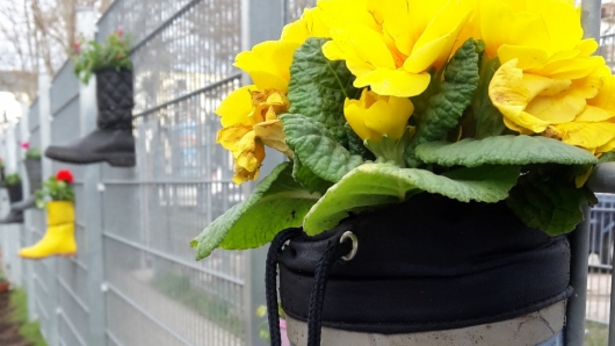 Geschenk f&uuml;r den Gartenzaun (Foto)