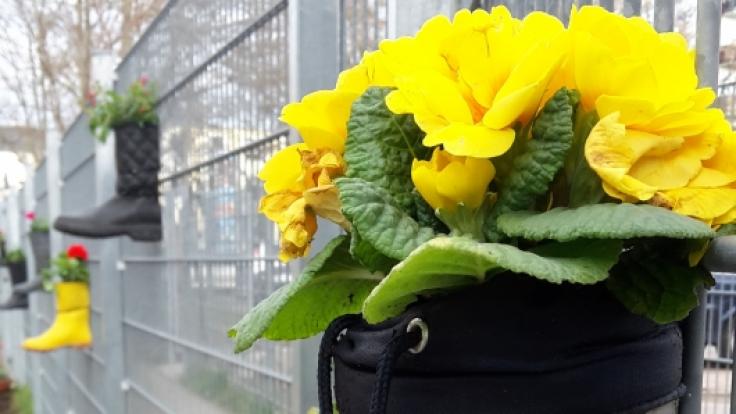 Geschenk für den Gartenzaun
