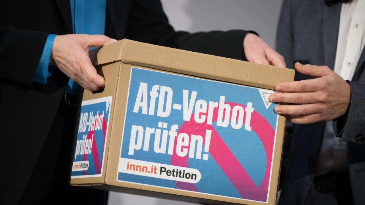 Die SPD will ein AfD-Verbotsverfahren vorbereiten. (Foto)