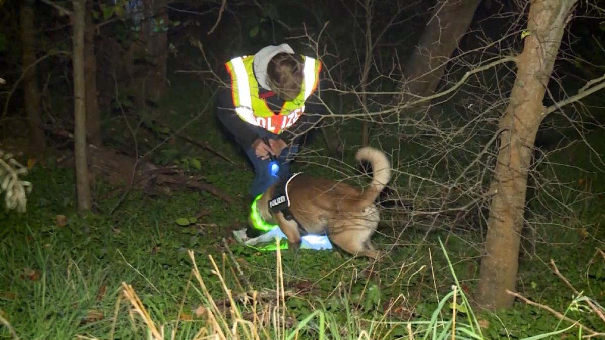 Ein Polizist mit einem Sp&uuml;rhund sucht nach einem vermissten Mann. (Foto)