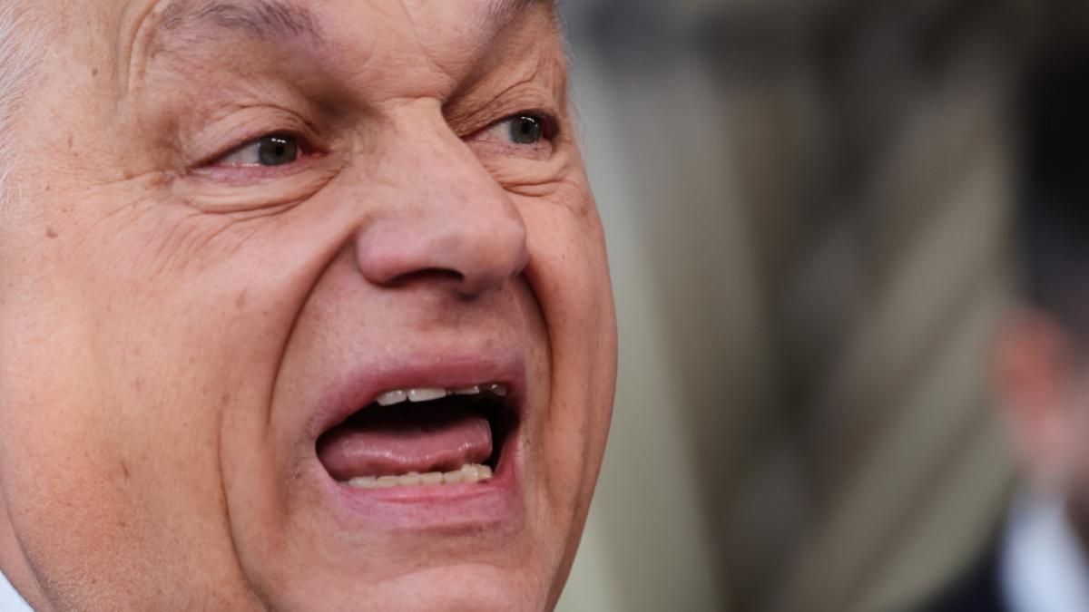 Viktor Orb&aacute;n konnte bei einem Wahlkampfauftritt nicht mehr an sich halten. (Foto)