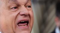 Viktor Orbán konnte bei einem Wahlkampfauftritt nicht mehr an sich halten.