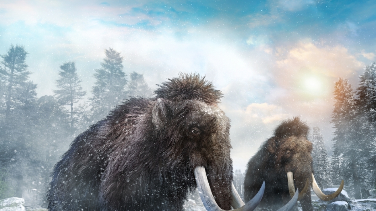 Forscher entwickeln Mammut-Hybride, die das Klima mit sch&uuml;tzen sollen. (Symbolfoto) (Foto)