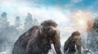 Forscher entwickeln Mammut-Hybride, die das Klima mit schützen sollen. (Symbolfoto)