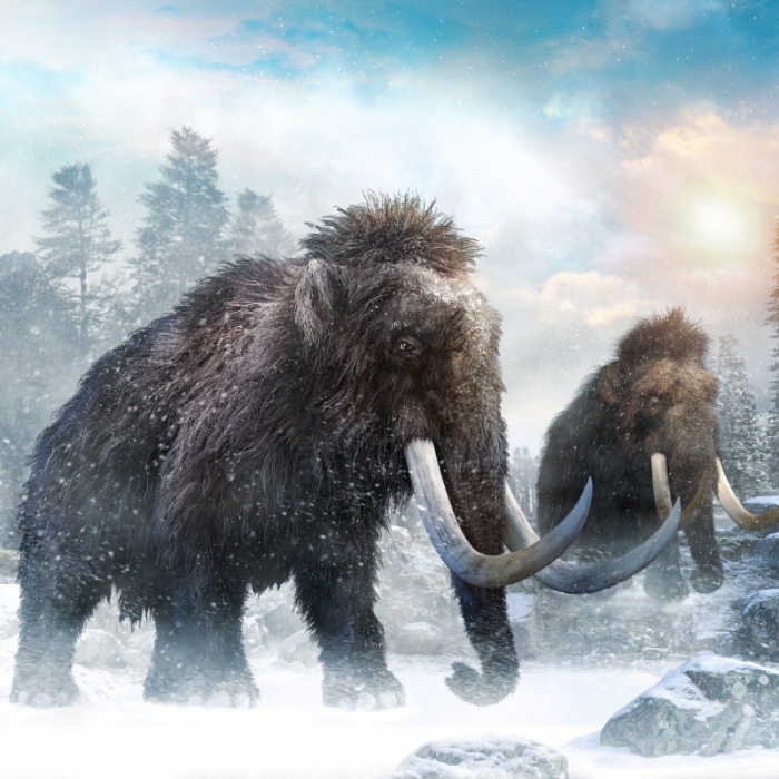 Comeback der Giganten! Können DIESE Kreaturen den Klimawandel stoppen?